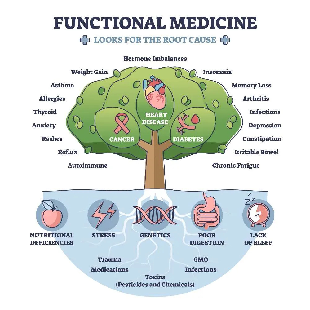What is Functional Medicine - Heal n Cure Medical Wellness Center
