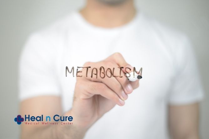 Metabolism - The Key to Optimal Health and Wellness - Heal n Cure Medical Wellness Center