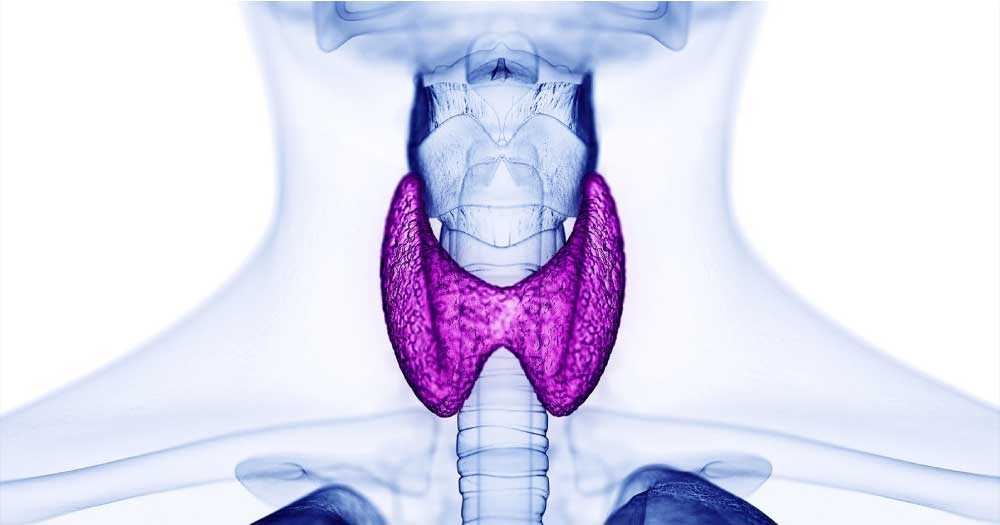 Understanding Thyroid Function and Weight Loss Resistance - Heal n Cure Medical Wellness Center